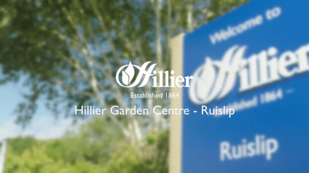 Hillier Garden Centre Ruislip — plant area with seasonal displays on Ducks Hill Road