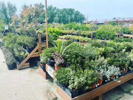 Redbridge Garden Centre, Woodford Green — plant displays and garden centre exterior