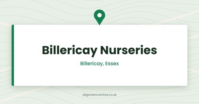 Billericay Nurseries — Billericay, Essex (directory card)