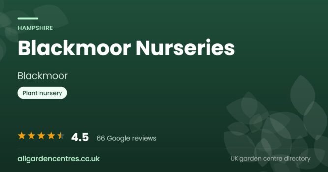 Blackmoor Nurseries, a garden centre in Blackmoor, Hampshire