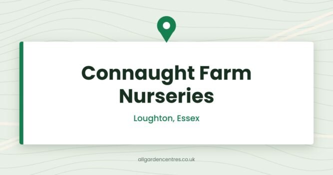 Connaught Farm Nurseries — Loughton, Essex (directory card)