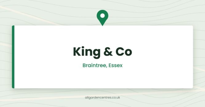 King & Co — Braintree, Essex (directory card)