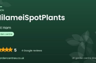 MilameiSpotPlants | East Ham, London