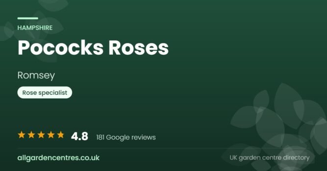 Pococks Roses, a garden centre in Romsey, Hampshire