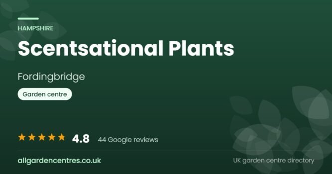 Scentsational Plants, a garden centre in Fordingbridge, Hampshire
