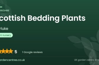 Scottish Bedding Plants | Carluke, Lanarkshire