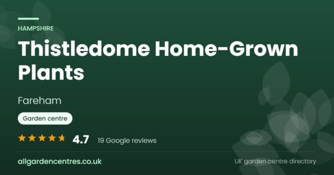 Thistledome Home-Grown Plants, a garden centre in Fareham, Hampshire