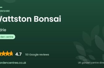 Wattston Bonsai | Airdrie, Lanarkshire