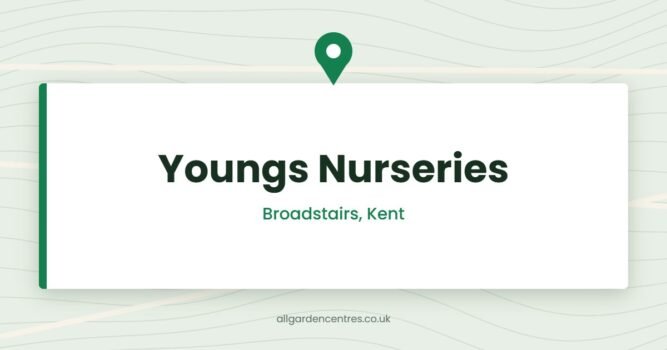 Youngs Nurseries — Broadstairs, Kent (directory card)