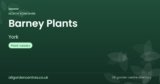 Barney Plants | York, North Yorkshire