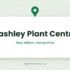 New Forest Hostas & Hemerocallis | Specialist Nursery, Lymington, Hampshire