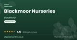 Blackmoor Nurseries | Blackmoor, Hampshire