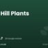 Pepperpot Nursery | Alton, Hampshire