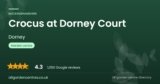 Crocus at Dorney Court | Dorney, Buckinghamshire