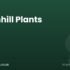 Blackmoor Nurseries | Blackmoor, Hampshire