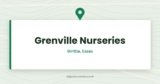 Grenville Nurseries — Writtle, Essex
