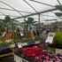 Squire’s Garden Centre, Stanmore