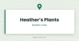 Heather’s Plants — Basildon, Essex