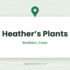 Happy Houseplants — Ongar, Essex
