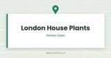 London House Plants — Harlow, Essex