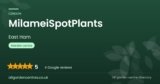 MilameiSpotPlants | East Ham, London