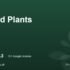 Brunswick Organic Nursery | York, North Yorkshire