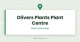Olivers Plants Plant Centre — Earls Colne, Essex