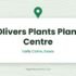 Hillcrest Nurseries — Herongate, Essex