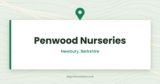 Penwood Nurseries | Penwood, Newbury, Berkshire