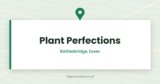 Plant Perfections — Battlesbridge, Essex