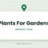 Wimbish Nursery and Garden Centre — Wimbish, Essex