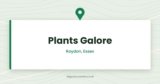 Plants Galore — Roydon, Essex