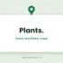 Hilltop Nursery Ramsden Heath — Ramsden Heath, Essex
