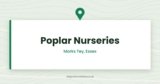 Poplar Nurseries | Marks Tey, Colchester, Essex