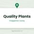 Woodlark Nurseries Ltd, Hersham