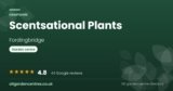 Scentsational Plants | Fordingbridge, Hampshire