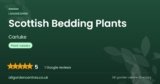 Scottish Bedding Plants | Carluke, Lanarkshire