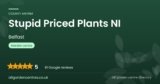 Stupid Priced Plants NI | Belfast, County Antrim