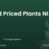 Glenavy Garden Centre | Crumlin, County Antrim