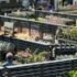 Thompsons Garden Centre, Crews Hill