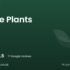 Sherington Nurseries | Newport Pagnell, Buckinghamshire