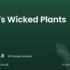 Brunswick Organic Nursery | York, North Yorkshire