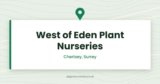 West of Eden Plant Nurseries | Plant Nursery in Chertsey, Surrey
