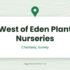 Best Garden Centres in Surrey: Local Guide to Plants, Cafés, Nurseries & Garden Supplies