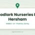 Quality Plants, Shepperton