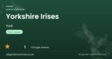 Yorkshire Irises | York, North Yorkshire